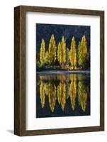 Reflection of poplar trees in autumnal colours, San Carlos de Bariloche, Patagonia, Argentina-Ed Rhodes-Framed Photographic Print