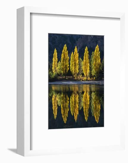 Reflection of poplar trees in autumnal colours, San Carlos de Bariloche, Patagonia, Argentina-Ed Rhodes-Framed Photographic Print