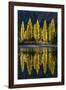 Reflection of poplar trees in autumnal colours, San Carlos de Bariloche, Patagonia, Argentina-Ed Rhodes-Framed Photographic Print