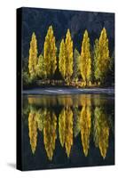 Reflection of poplar trees in autumnal colours, San Carlos de Bariloche, Patagonia, Argentina-Ed Rhodes-Stretched Canvas