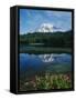 Reflection of Snowcovered Mount Rainier on Reflection Lake-James Randklev-Framed Stretched Canvas