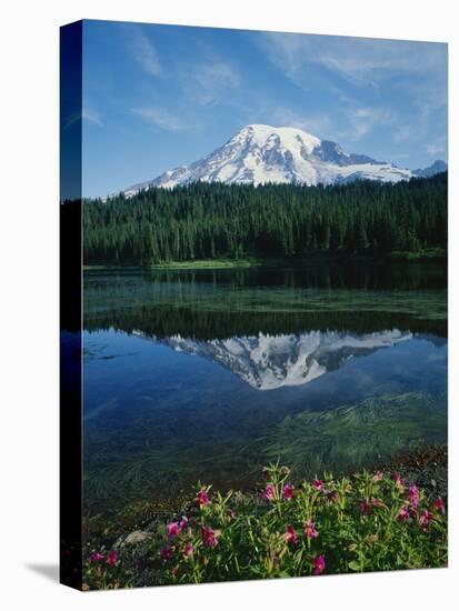 Reflection of Snowcovered Mount Rainier on Reflection Lake-James Randklev-Stretched Canvas
