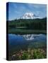 Reflection of Snowcovered Mount Rainier on Reflection Lake-James Randklev-Stretched Canvas