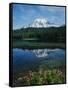 Reflection of Snowcovered Mount Rainier on Reflection Lake-James Randklev-Framed Stretched Canvas