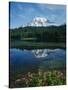 Reflection of Snowcovered Mount Rainier on Reflection Lake-James Randklev-Stretched Canvas