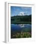 Reflection of Snowcovered Mount Rainier on Reflection Lake-James Randklev-Framed Photographic Print