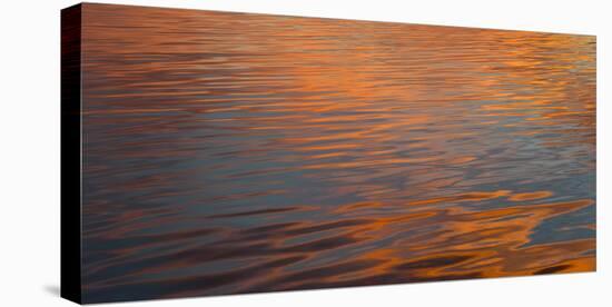 Reflection of sun on water, Rockland Harbor, Rockland, Knox County, Maine, USA-null-Stretched Canvas