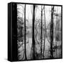 Reflection of Swamp-David H. Wells-Framed Stretched Canvas