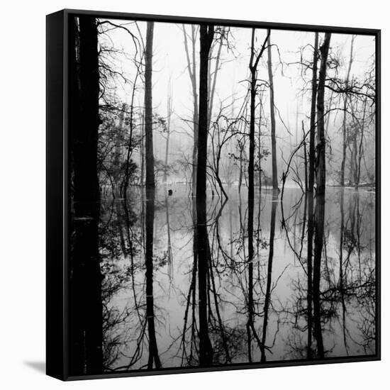 Reflection of Swamp-David H. Wells-Framed Stretched Canvas