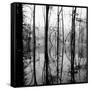 Reflection of Swamp-David H. Wells-Framed Stretched Canvas