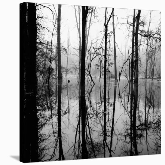 Reflection of Swamp-David H. Wells-Stretched Canvas