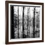 Reflection of Swamp-David H. Wells-Framed Photographic Print