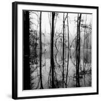 Reflection of Swamp-David H. Wells-Framed Photographic Print