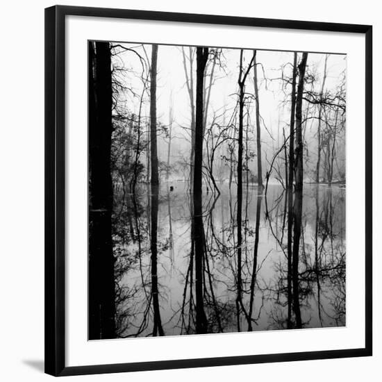 Reflection of Swamp-David H. Wells-Framed Photographic Print