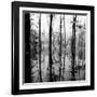 Reflection of Swamp-David H. Wells-Framed Photographic Print