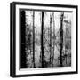 Reflection of Swamp-David H. Wells-Framed Photographic Print