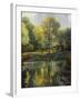 Reflection of the Park-John Zaccheo-Framed Giclee Print