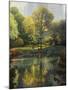 Reflection of the Park-John Zaccheo-Mounted Giclee Print