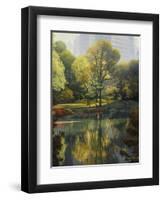 Reflection of the Park-John Zaccheo-Framed Premium Giclee Print