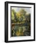 Reflection of the Park-John Zaccheo-Framed Premium Giclee Print