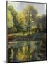 Reflection of the Park-John Zaccheo-Mounted Premium Giclee Print