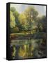 Reflection of the Park-John Zaccheo-Framed Stretched Canvas