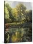 Reflection of the Park-John Zaccheo-Stretched Canvas