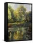 Reflection of the Park-John Zaccheo-Framed Stretched Canvas