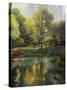 Reflection of the Park-John Zaccheo-Stretched Canvas