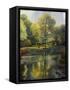 Reflection of the Park-John Zaccheo-Framed Stretched Canvas