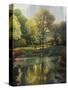 Reflection of the Park-John Zaccheo-Stretched Canvas