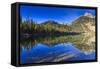 Reflection of the Teton Range, Bradley Lake, Grand Teton National Park, Wyoming, Usa-Eleanor Scriven-Framed Stretched Canvas