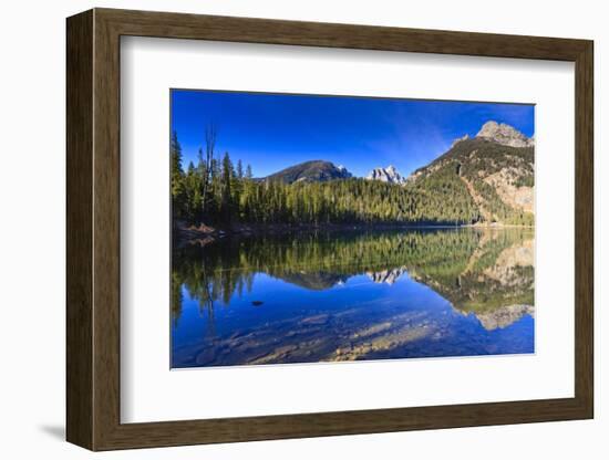 Reflection of the Teton Range, Bradley Lake, Grand Teton National Park, Wyoming, Usa-Eleanor Scriven-Framed Photographic Print