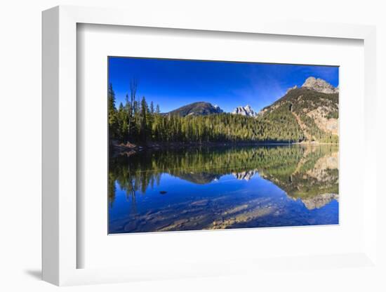 Reflection of the Teton Range, Bradley Lake, Grand Teton National Park, Wyoming, Usa-Eleanor Scriven-Framed Photographic Print