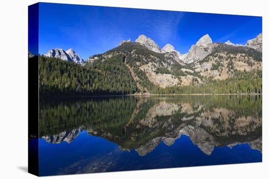 Reflection of the Teton Range-Eleanor-Stretched Canvas