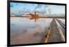 Reflection of the windmill in the salt flats at dawn, Saline Ettore e Infersa, Marsala-Paolo Graziosi-Framed Photographic Print