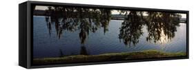 Reflection of Tree in a River, Middleton Place, Charleston, Charleston County, South Carolina, USA-null-Framed Stretched Canvas