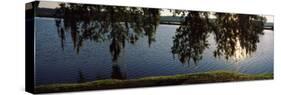 Reflection of Tree in a River, Middleton Place, Charleston, Charleston County, South Carolina, USA-null-Stretched Canvas