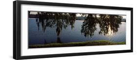 Reflection of Tree in a River, Middleton Place, Charleston, Charleston County, South Carolina, USA-null-Framed Photographic Print