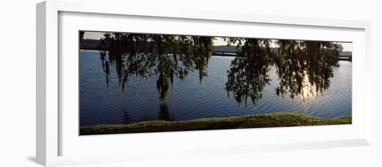 Reflection of Tree in a River, Middleton Place, Charleston, Charleston County, South Carolina, USA-null-Framed Photographic Print