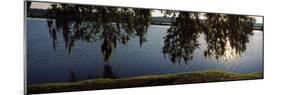 Reflection of Tree in a River, Middleton Place, Charleston, Charleston County, South Carolina, USA-null-Mounted Photographic Print