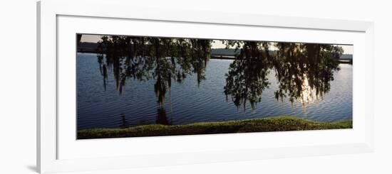 Reflection of Tree in a River, Middleton Place, Charleston, Charleston County, South Carolina, USA-null-Framed Photographic Print