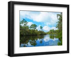 Reflection of trees and clouds in South Creek, Oscar Scherer State Park, Nokomis, Sarasota Count...-null-Framed Photographic Print