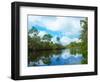 Reflection of trees and clouds in South Creek, Oscar Scherer State Park, Nokomis, Sarasota Count...-null-Framed Photographic Print