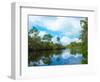 Reflection of trees and clouds in South Creek, Oscar Scherer State Park, Nokomis, Sarasota Count...-null-Framed Photographic Print