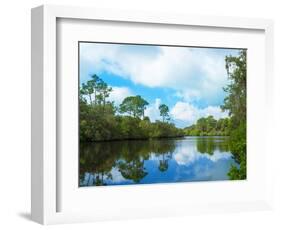 Reflection of trees and clouds in South Creek, Oscar Scherer State Park, Nokomis, Sarasota Count...-null-Framed Photographic Print