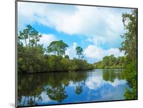 Reflection of trees and clouds in South Creek, Oscar Scherer State Park, Nokomis, Sarasota Count...-null-Mounted Photographic Print