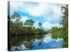 Reflection of trees and clouds in South Creek, Oscar Scherer State Park, Nokomis, Sarasota Count...-null-Stretched Canvas
