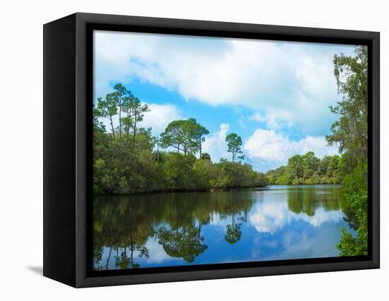 Reflection of trees and clouds in South Creek, Oscar Scherer State Park, Nokomis, Sarasota Count...-null-Framed Stretched Canvas