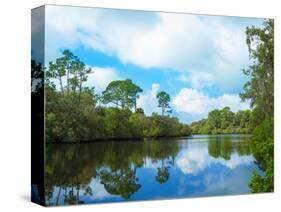 Reflection of trees and clouds in South Creek, Oscar Scherer State Park, Nokomis, Sarasota Count...-null-Stretched Canvas